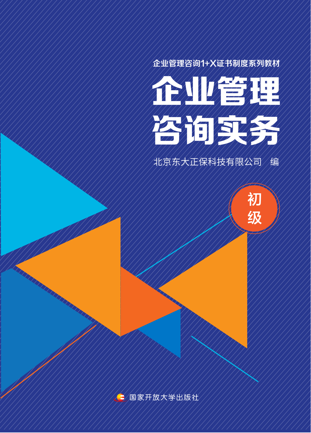 企業(yè)管理咨詢實(shí)務(wù) 初級入門與核心要點(diǎn)