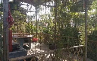 沔莊野炊農(nóng)俗體驗活動 在田園中尋找生活真趣