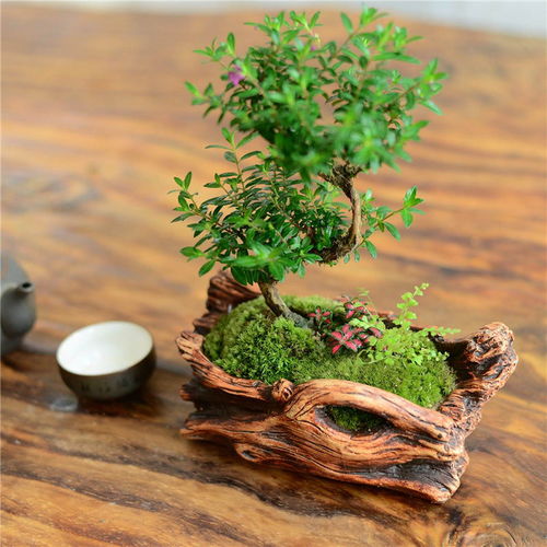 臨安區(qū)工廠綠化設(shè)計(jì) 杭州航景園藝，以匠心構(gòu)筑生態(tài)工業(yè)新典范